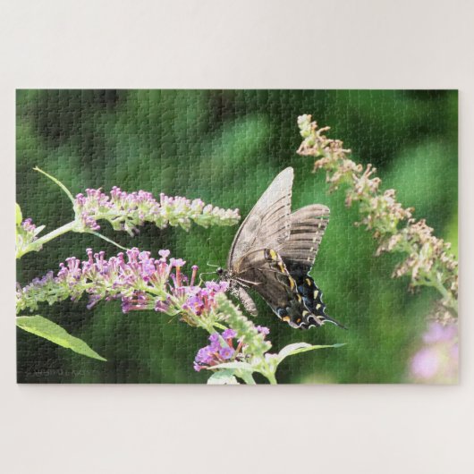 Black Swallowtail butterfly Legpuzzel (Horizontaal)