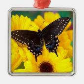 Black Swallowtail butterfly Metalen Ornament (Voorkant)