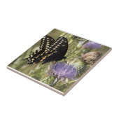 Black Swallowtail Butterfly Tile Tegeltje (Zijkant)