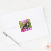 Black Swallowtail Butterfly Vierkante Sticker (Envelop)