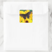 Black Swallowtail butterfly Vierkante Sticker (Tas)