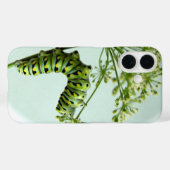 Black Swallowtail Caterpillar eten peterselie Hoes (Achterkant (horizontaal))