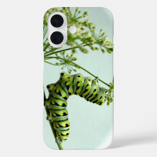 Black Swallowtail Caterpillar manger Coque persil (Verso)
