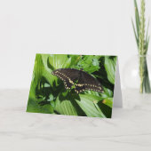 Black Swallowtail Spotted Butterfly Foto Kaart (Voorkant)