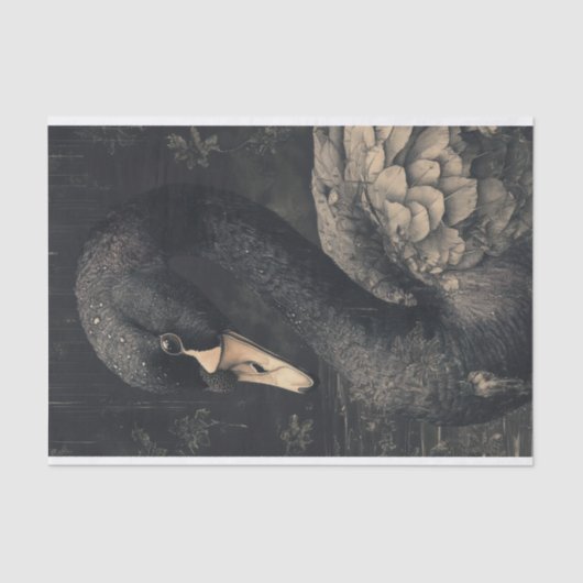 Black Swan 2 Decoupage papier (Voorkant)