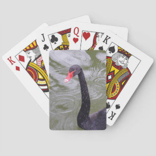 Black Swan Bicycle® Poker Plays Speelkaarten