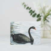 "Black Swan" Bird Art Reproduction Briefkaart (Staand voorkant)