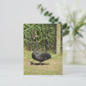 Black Swan Briefkaart (Staand voorkant)