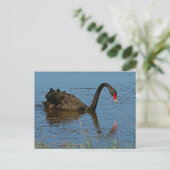 Black Swan Briefkaart (Staand voorkant)