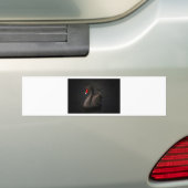 Black Swan Bumpersticker (Op auto)