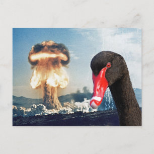 Black Swan Disaster Briefkaart