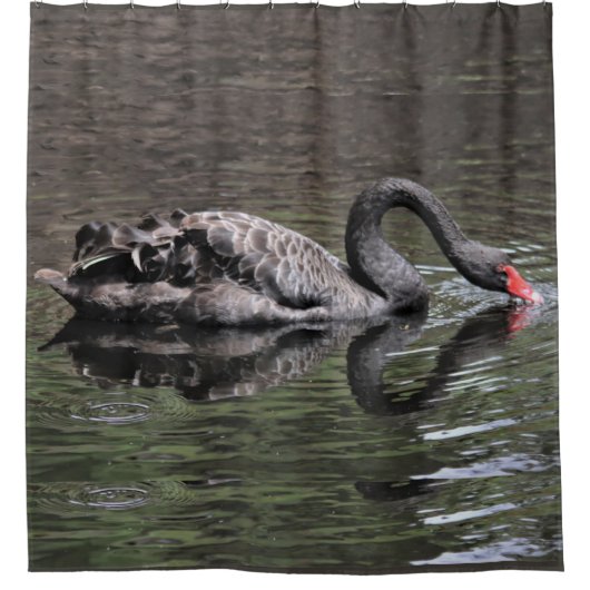 Black Swan Douchegordijn (Voorkant)