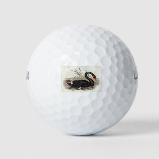 Black Swan  Golfballen (Voorkant)