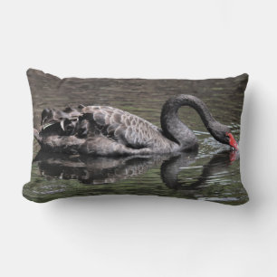 Black Swan Kussen