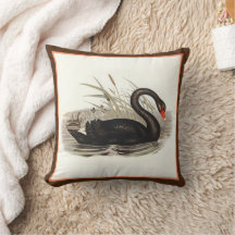 Black Swan 