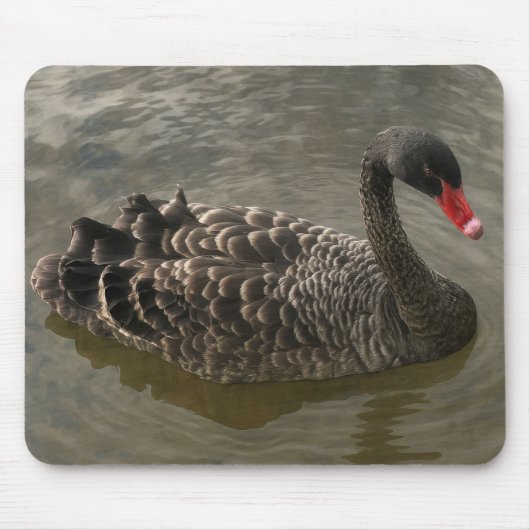Black Swan Muismat (Voorkant)