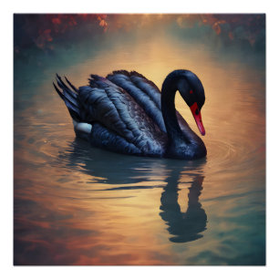 Black Swan no 4 Glanzend Poster Perfect Poster