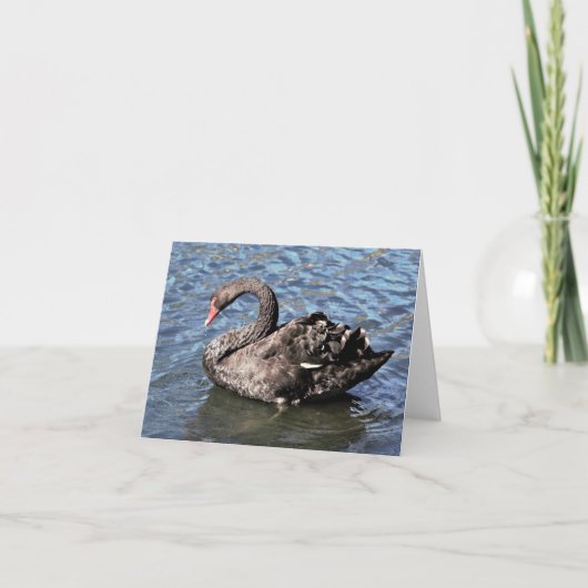 Black Swan Photo Folded Note Kaart (Voorkant)