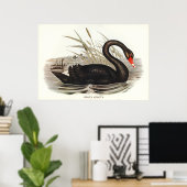 Black Swan  Poster (Thuiskantoor)