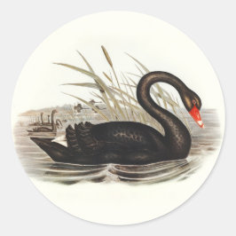 Black Swan Ronde Sticker