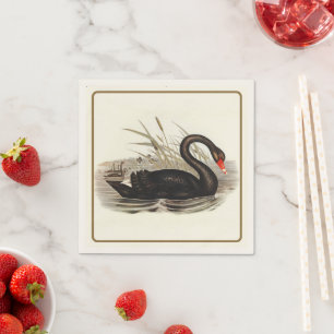 Black Swan Servet