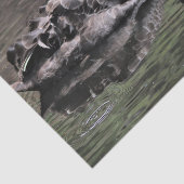 Black Swan Tissuepapier (Detail)