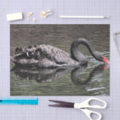 Black Swan Tissuepapier (Craft)