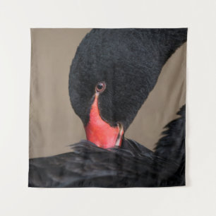 Black Swan Wandkleed