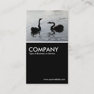 Black Swans Greeting - Black Visitekaartje