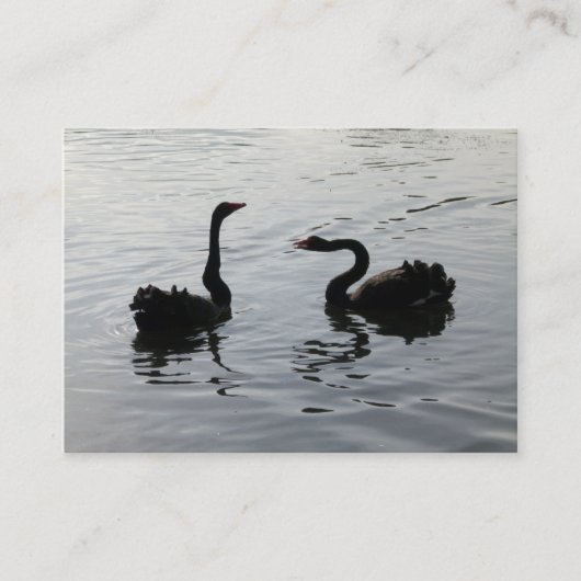 Black Swans Greeting Visitekaartje (Voorkant)