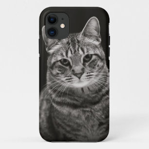 Black Tabby Kitten iPhone 11 Hoesje
