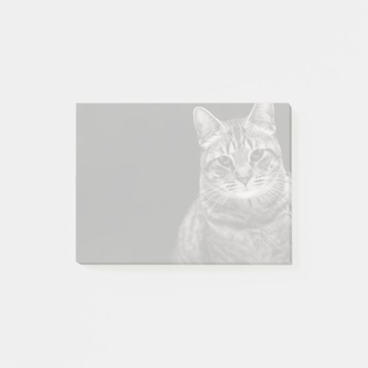 Black Tabby Kitten Post-it® Notes (Voorkant)