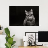 Black Tabby Kitten Poster (Thuiskantoor)