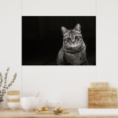 Black Tabby Kitten Poster (Keuken)
