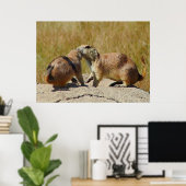 "Black-tailed Prairie Dog Framed Print (Thuiskantoor)