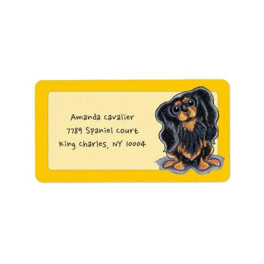 Black Tan CKCS Studio Sunshine Gold Etiket (Voorkant)