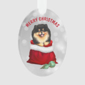 Black Tan Pomeranian Gift Surprise Ornament (voorkant)