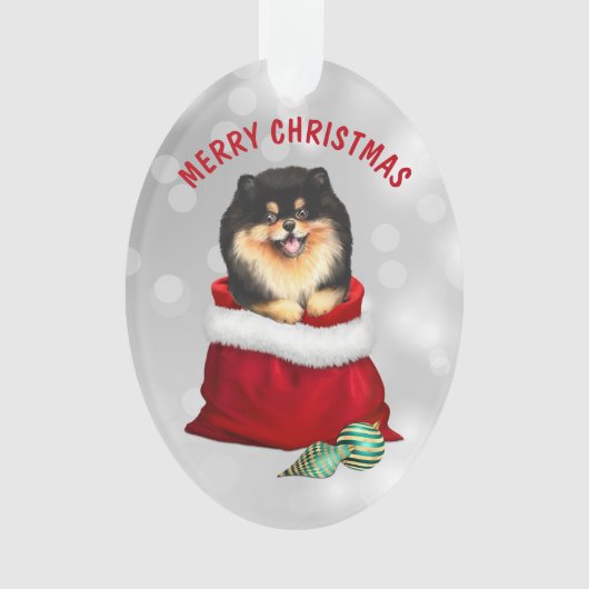 Black Tan Pomeranian Gift Surprise Ornament (voorkant)