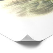 Black Tern Poster (Hoek)