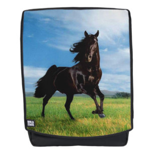 Black Thoroughbred Rugtassen