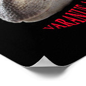 Black Throat Monitor Poster (Hoek)