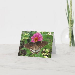 Black Tiger Swallowtail sur Zinnia Carte de remerc