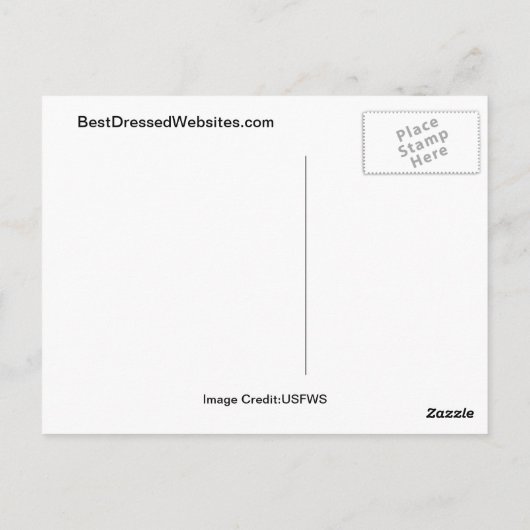 Black Toad Briefkaart (Achterkant)