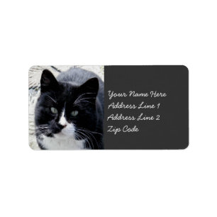 Black Tom Cat met witte markeringen Etiket
