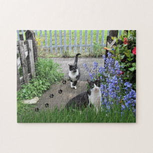Black Tuxedo Cats in Garden Jigzaag Puzzle Legpuzzel