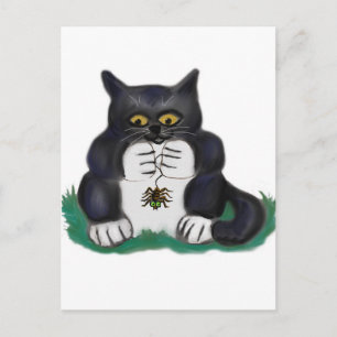 Black Tuxedo Kitten vindt een tuinspin Briefkaart