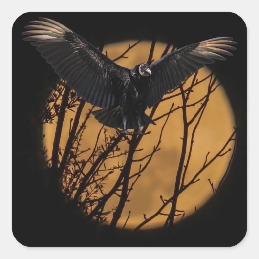Black Vulture bij volle maan Halloween Vierkante Sticker (Voorkant)