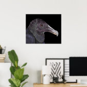 Black Vulture Illustration Poster (Thuiskantoor)