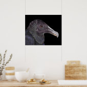 Black Vulture Illustration Poster (Keuken)