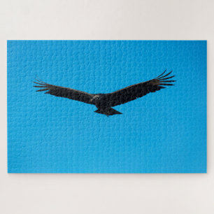 Black Vulture Legpuzzel